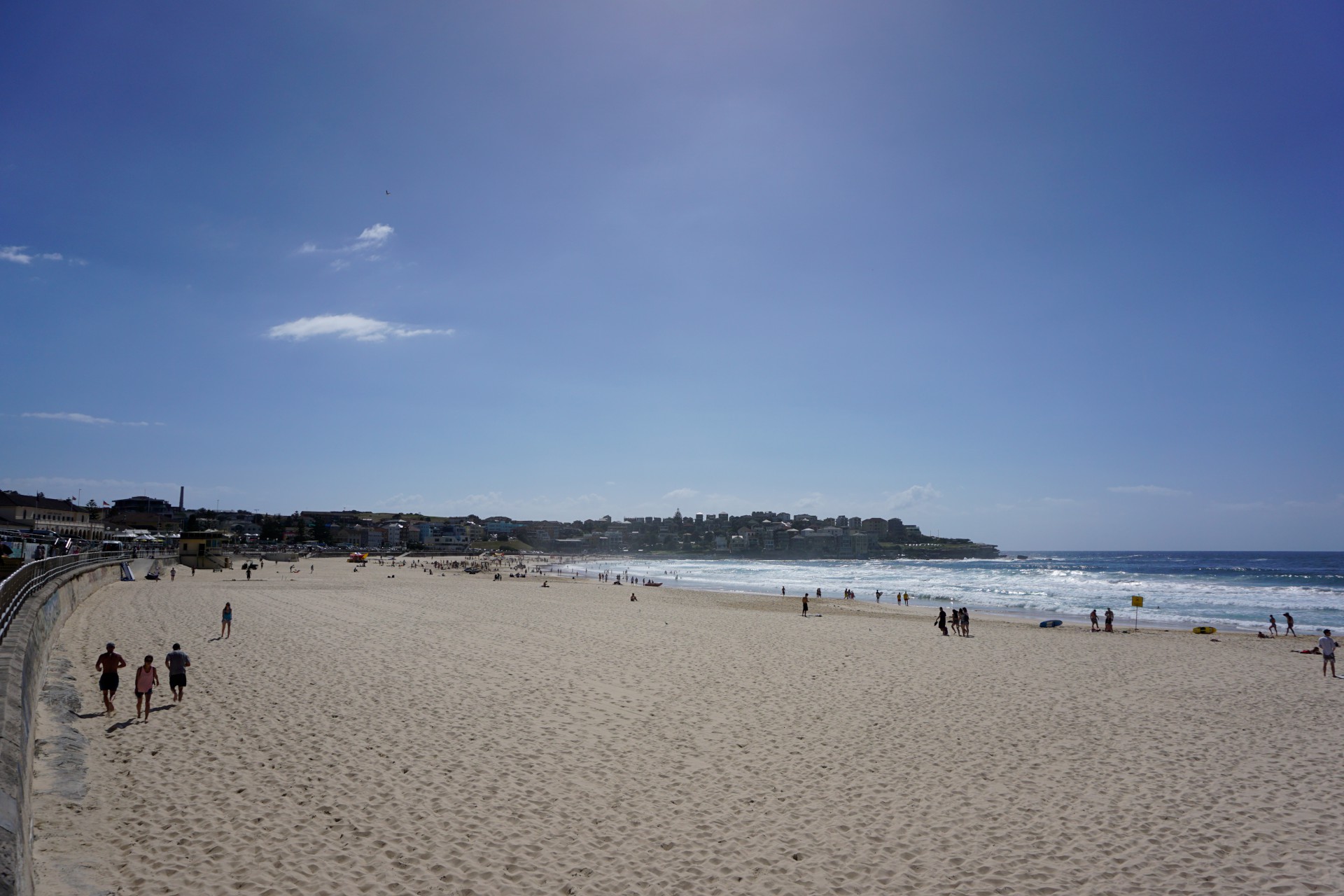 Bondi Beach and Surrounds Image 4