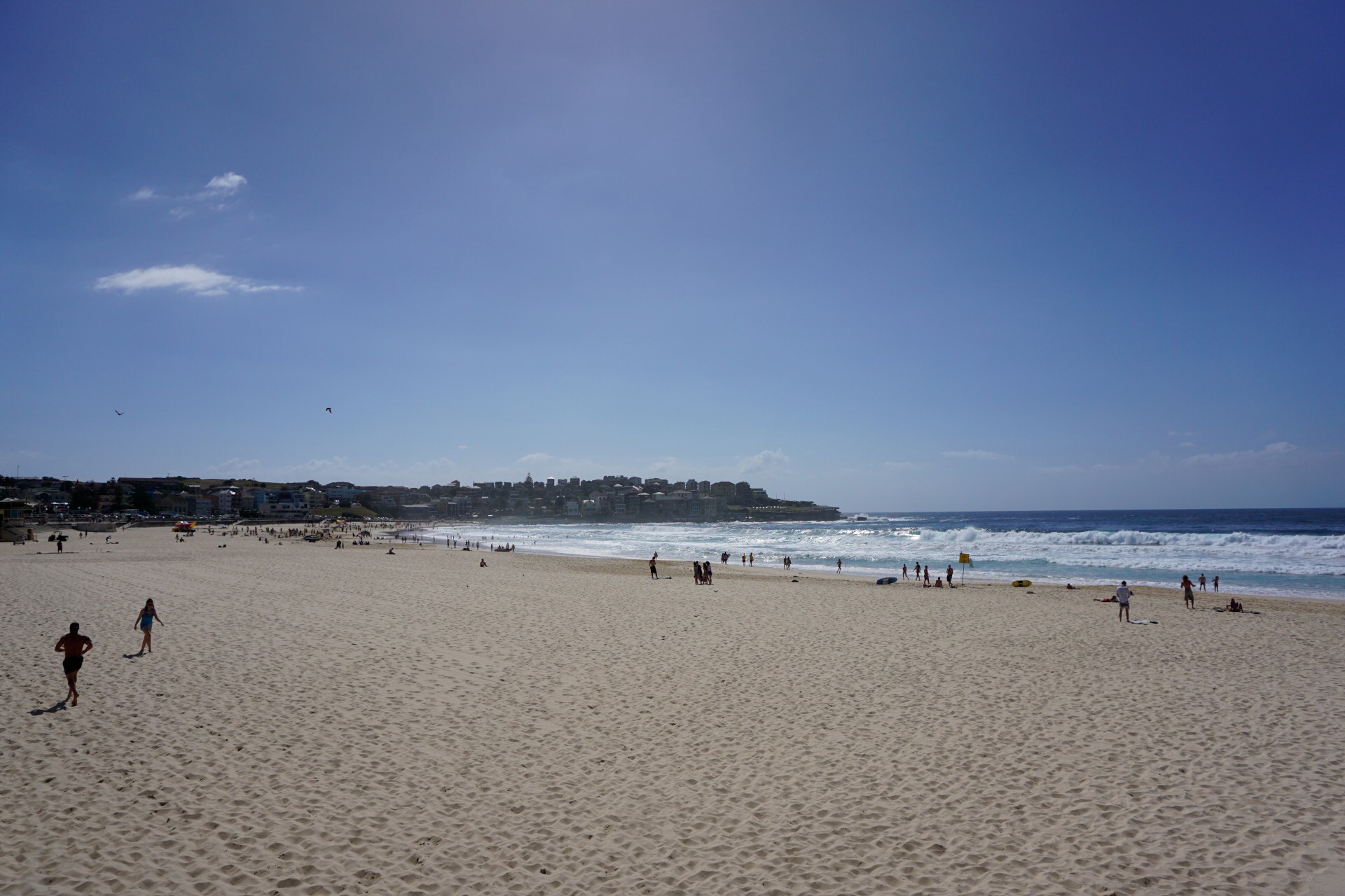 Bondi Beach and Surrounds Image 44