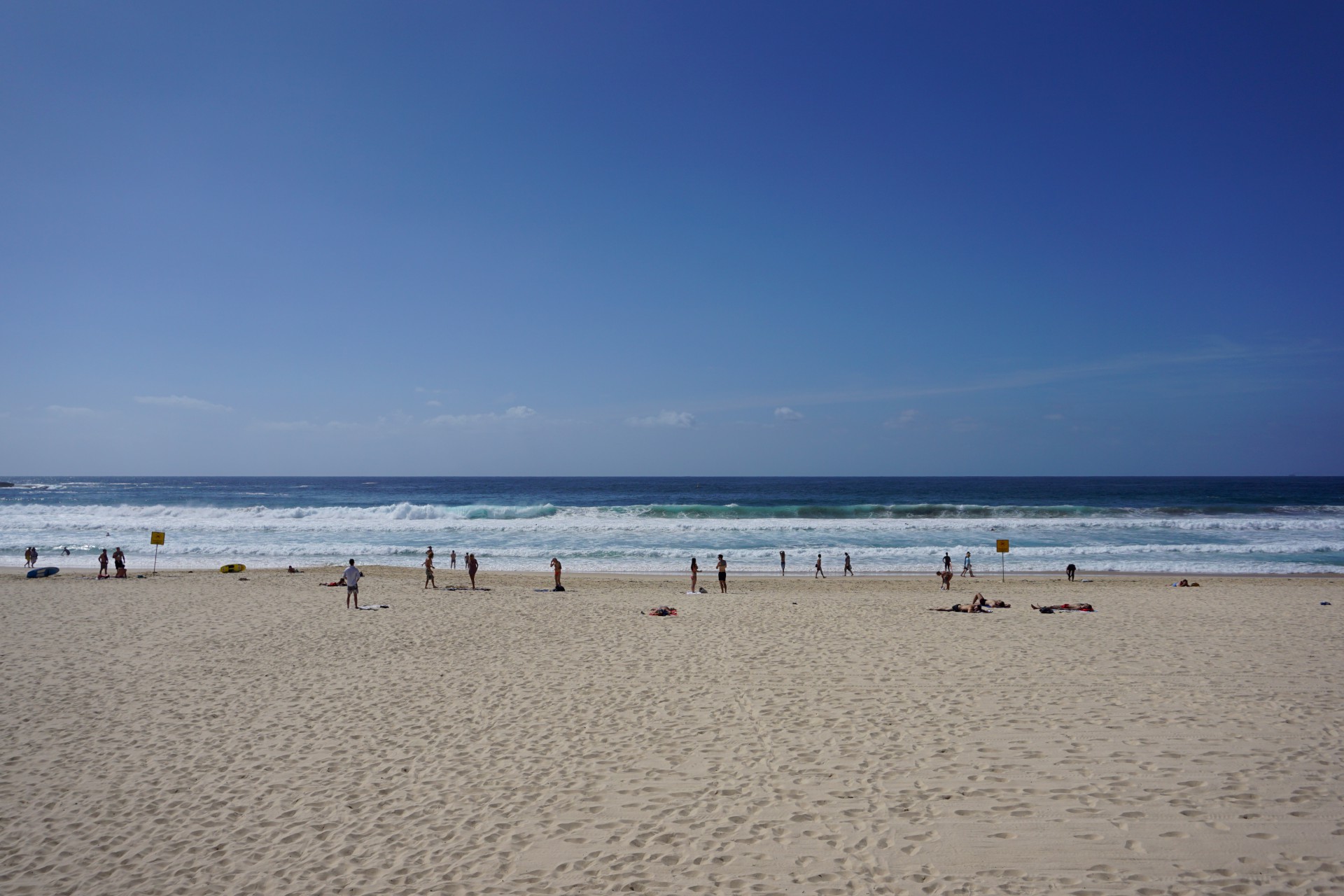 Bondi Beach and Surrounds Image 0