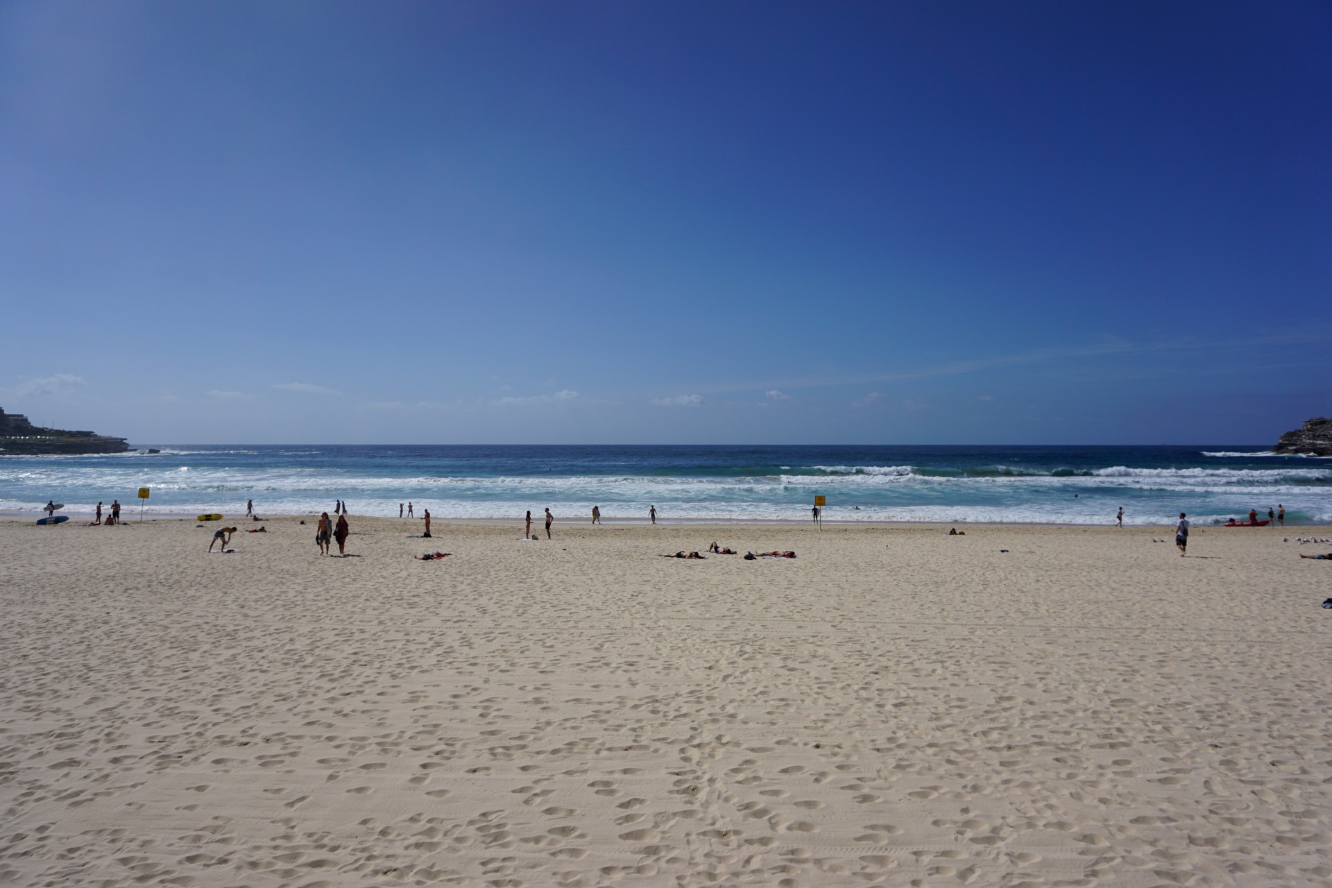 Bondi Beach and Surrounds Image 22