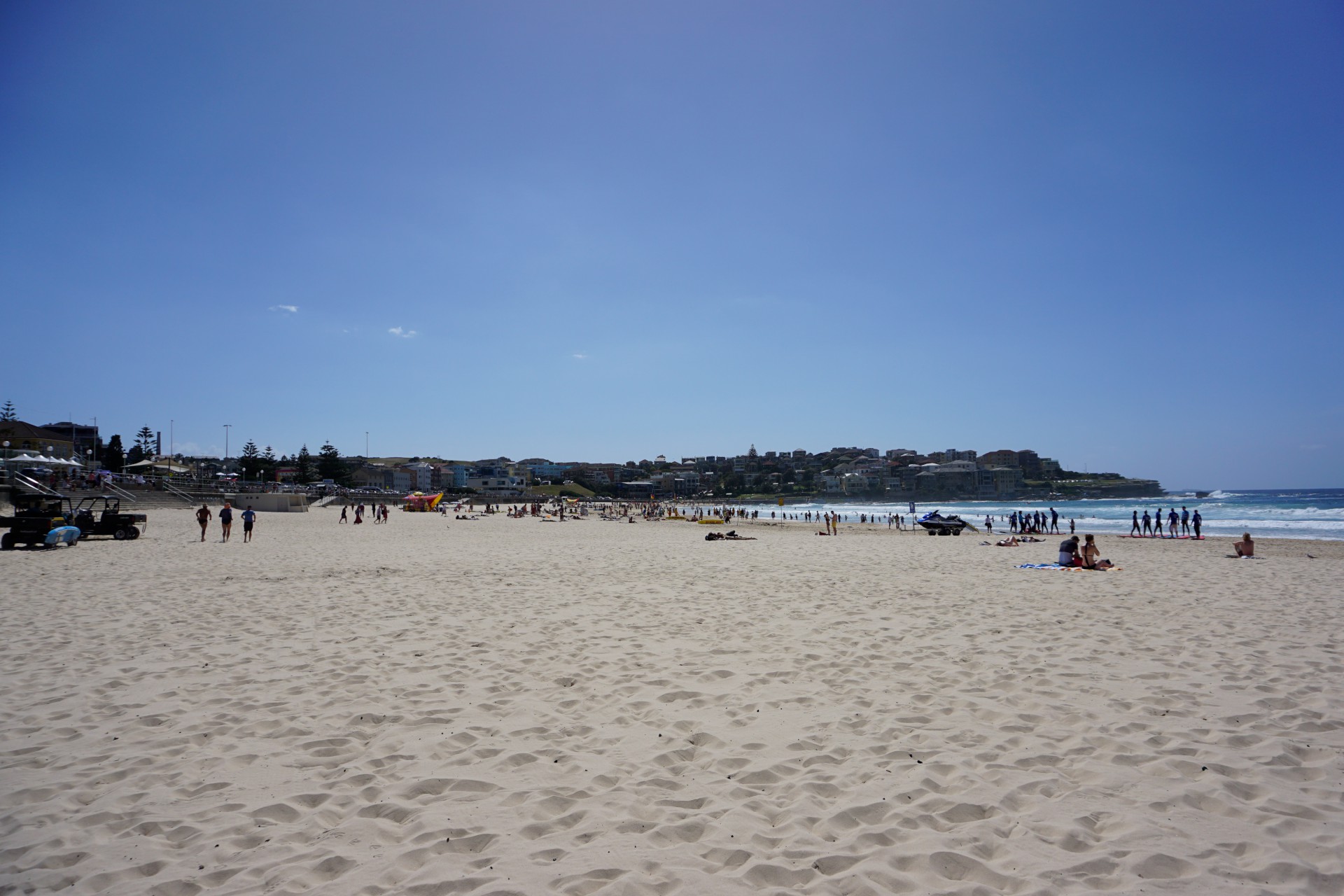 Bondi Beach and Surrounds Image 45