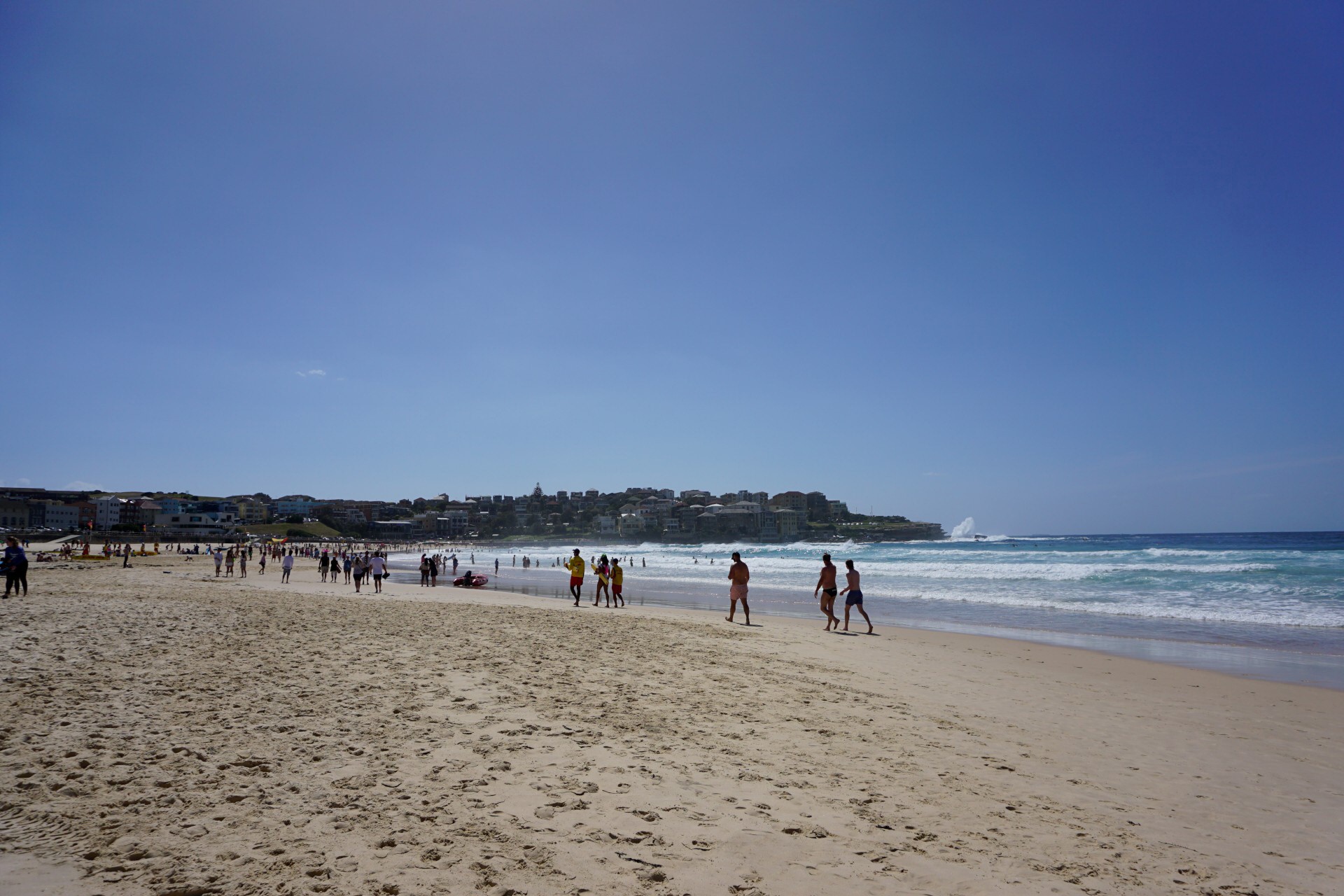 Bondi Beach and Surrounds Image 22