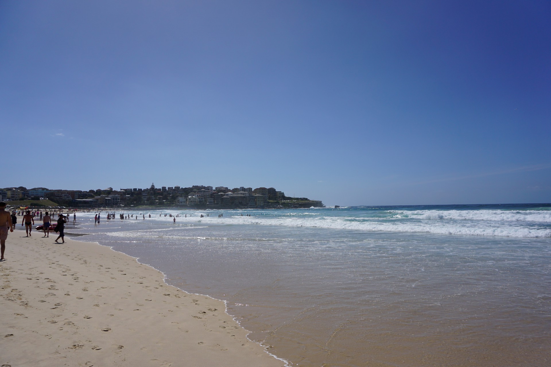 Bondi Beach and Surrounds Image 23