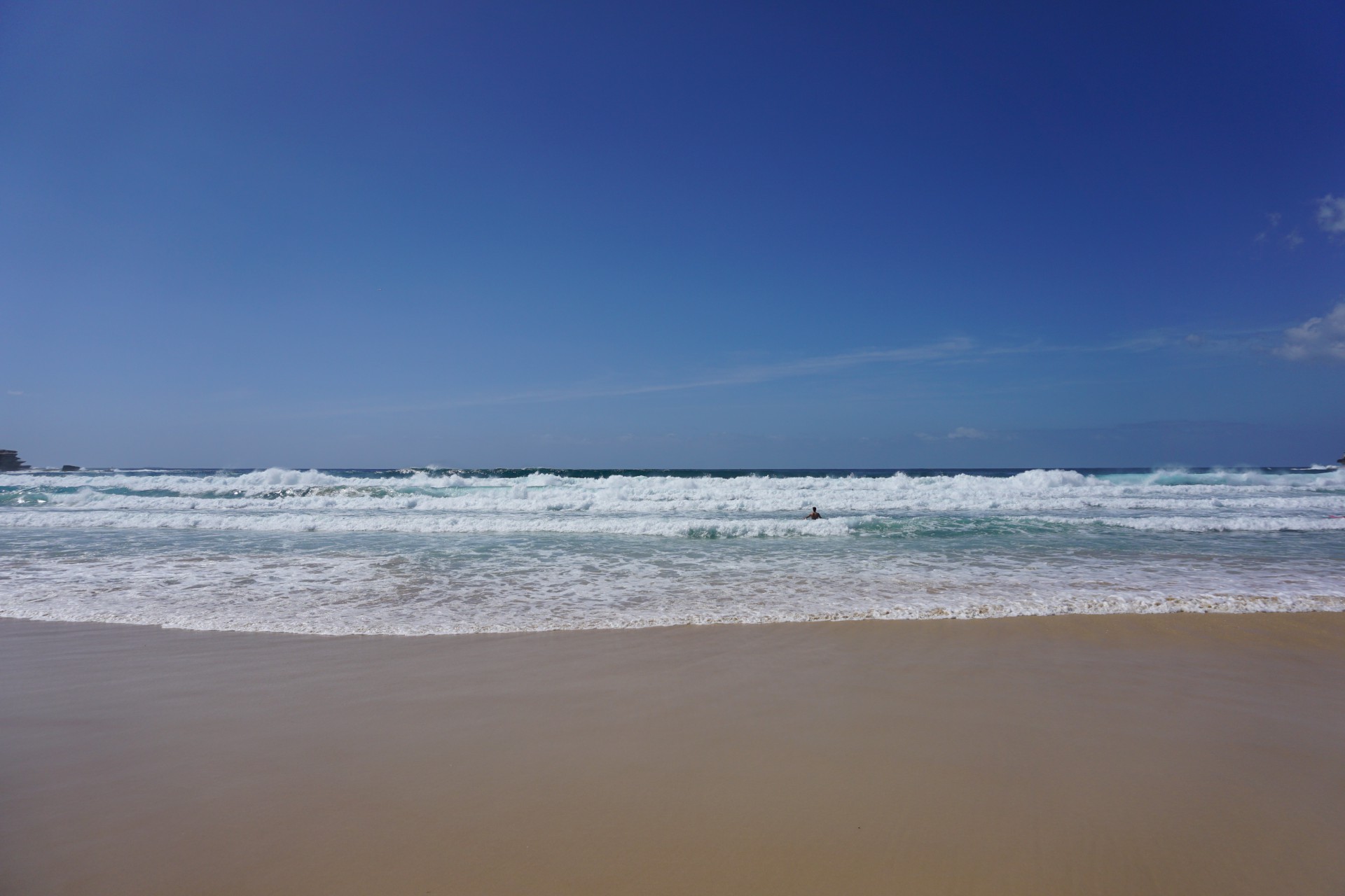 Bondi Beach and Surrounds Image 24