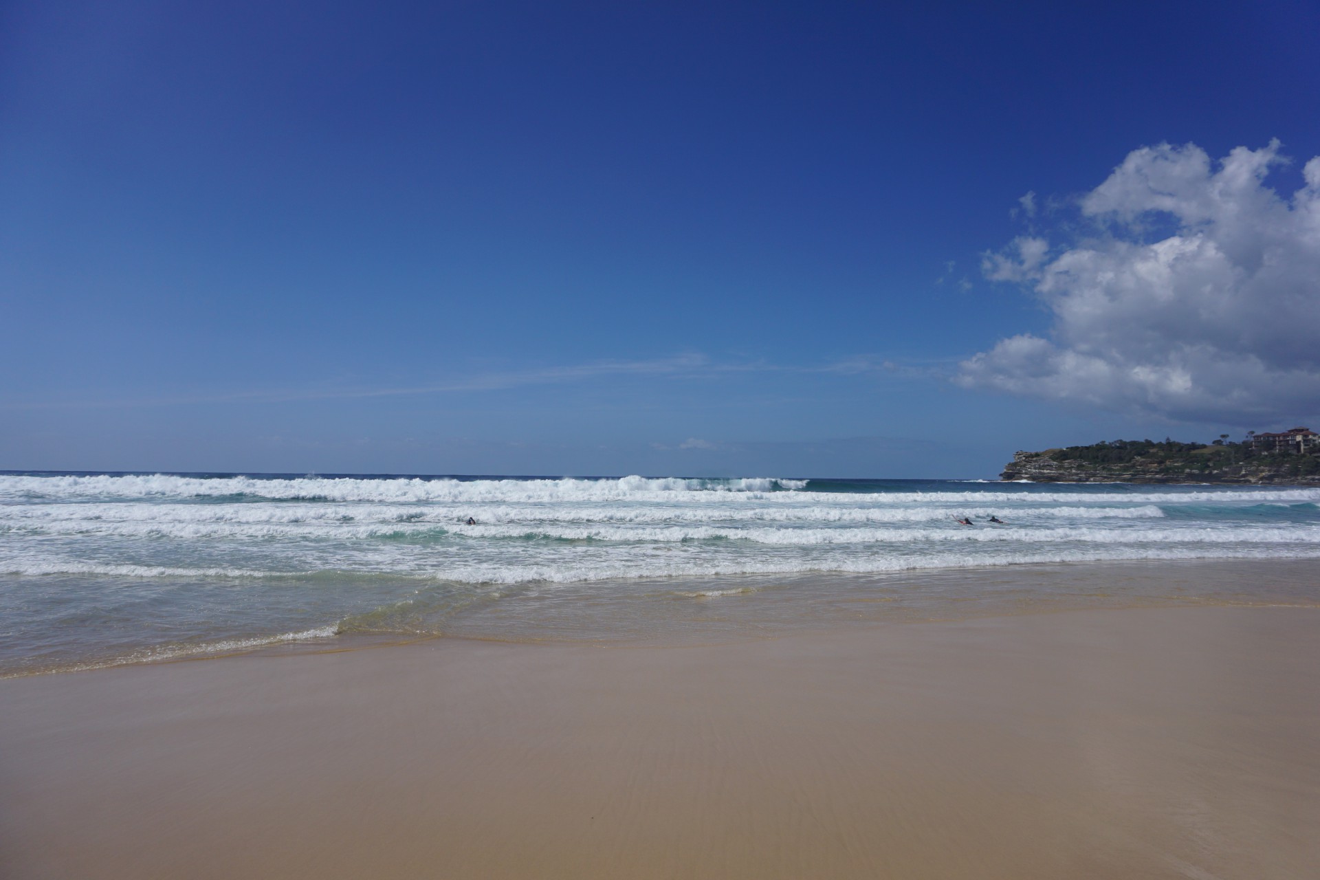 Bondi Beach and Surrounds Image 53
