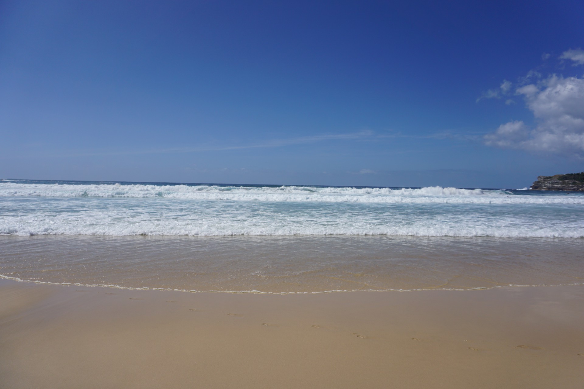 Bondi Beach and Surrounds Image 28