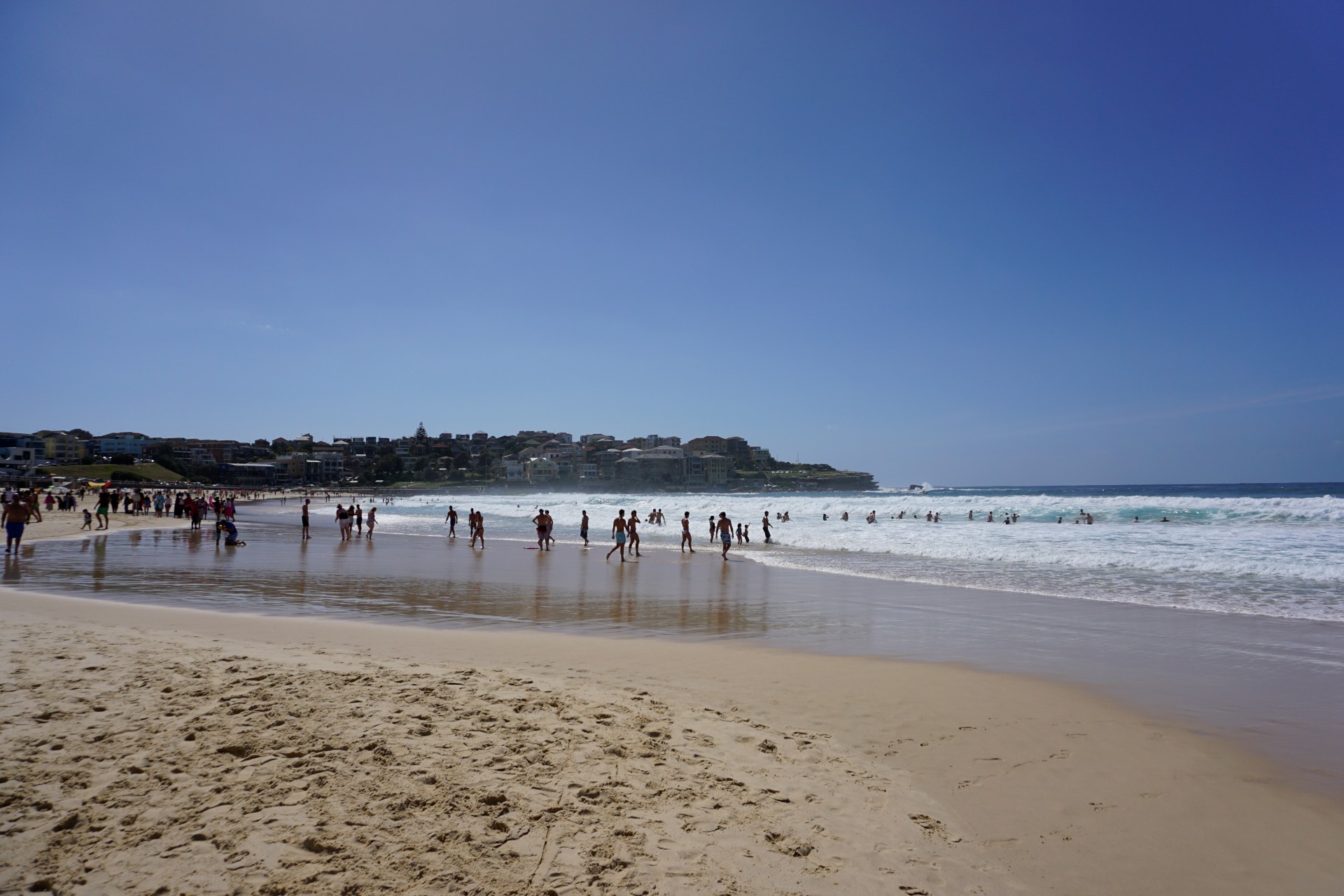 Bondi Beach and Surrounds Image 29