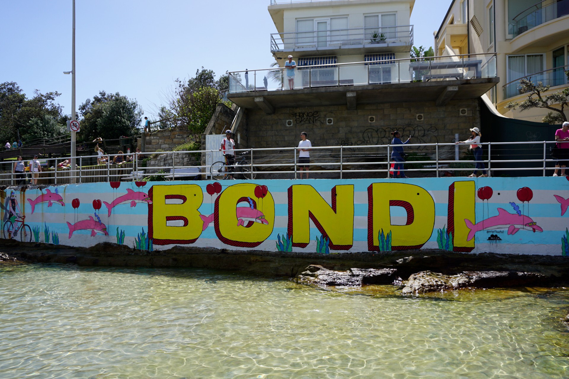 Bondi Beach and Surrounds Image 48